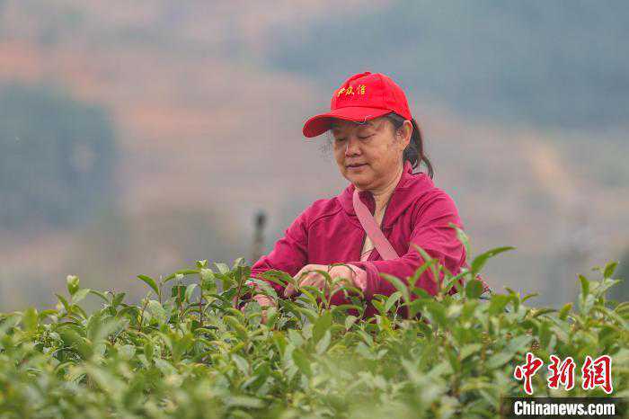 外面熟食那么香，关键都在这配方！20块钱全搞定，学会不用出去买