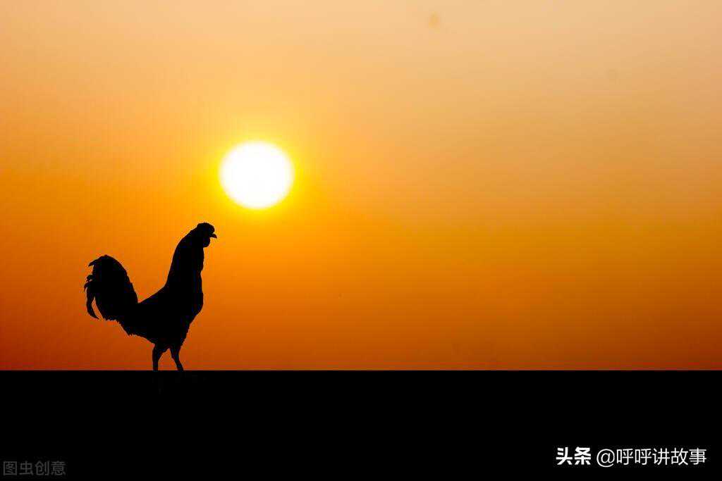 趣事：吃了被农药毒死的野鸡会不会有问题？