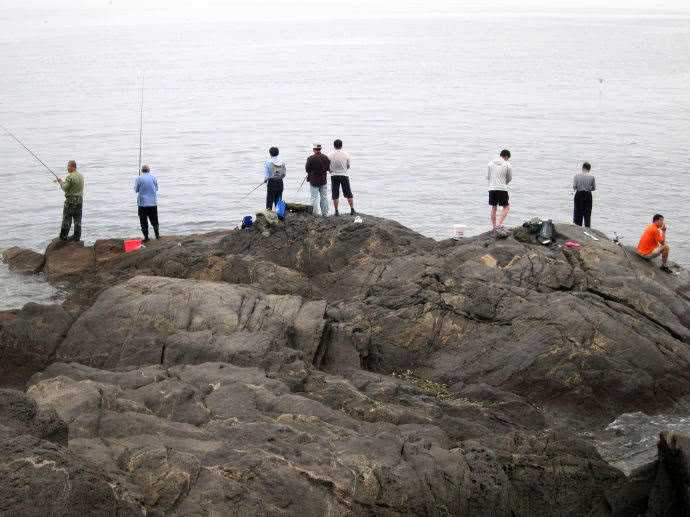 海边钓鲅鱼，这鱼又多又傻，总会让钓鱼人满意而归
