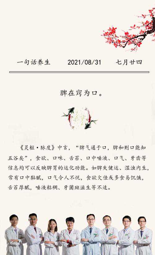 每日一膳｜这道老鸭汤，祛湿之余还补五脏