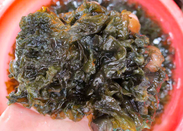 地皮菜：长得虽有点恶心，但比大多数人想象的要美味